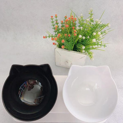 Elevated Cat Double Bowl Food Bowl for Pets