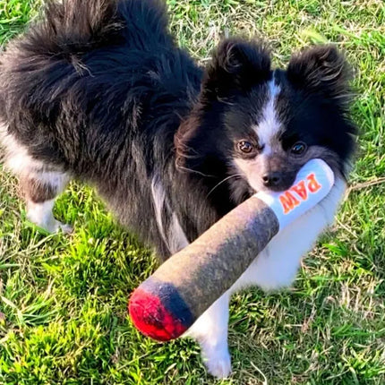 Plush Squeaky Dog Toys – Fun & Interactive Gifts