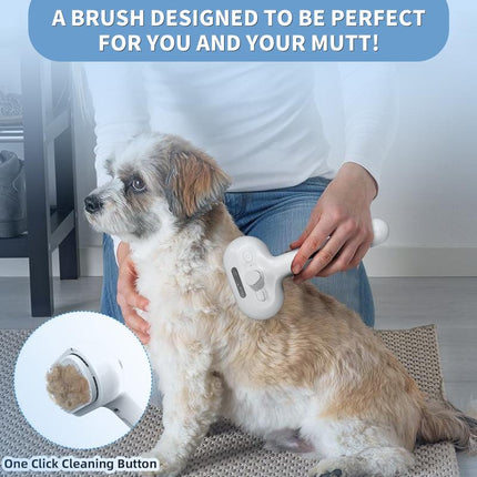 Pet Spray Hair Removal Comb – Cat & Dog Grooming Brush