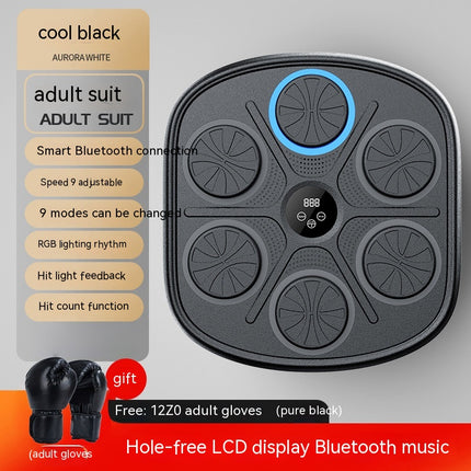 Music Boxing Wall Target – Interactive Fitness & Training Pad